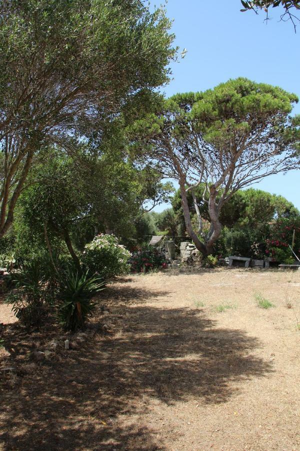 Bed and Breakfast Le 25 Tartarughe Santa Teresa Gallura Zewnętrze zdjęcie