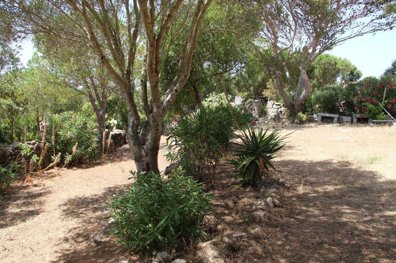 Bed and Breakfast Le 25 Tartarughe Santa Teresa Gallura Zewnętrze zdjęcie