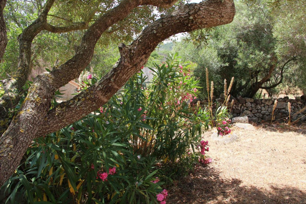 Bed and Breakfast Le 25 Tartarughe Santa Teresa Gallura Zewnętrze zdjęcie