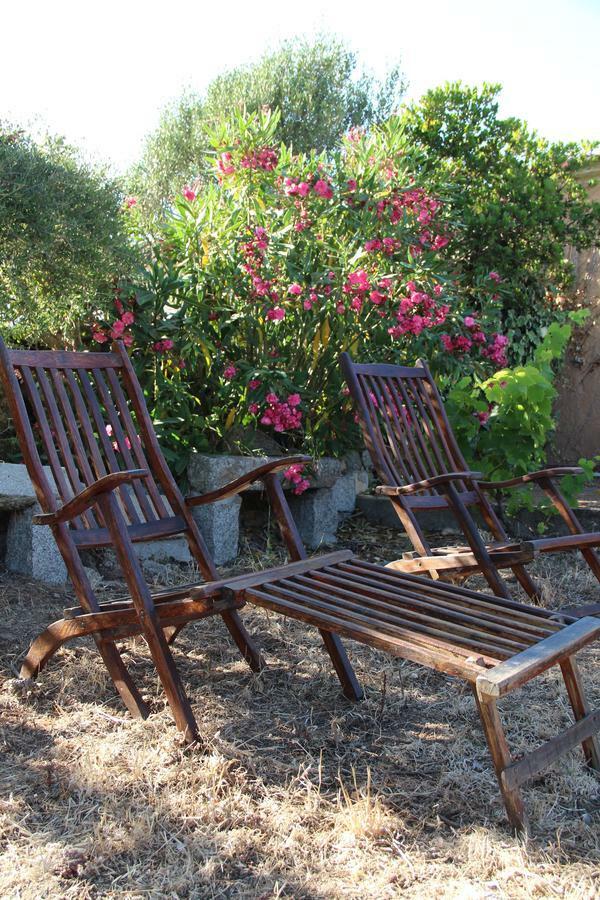 Bed and Breakfast Le 25 Tartarughe Santa Teresa Gallura Zewnętrze zdjęcie