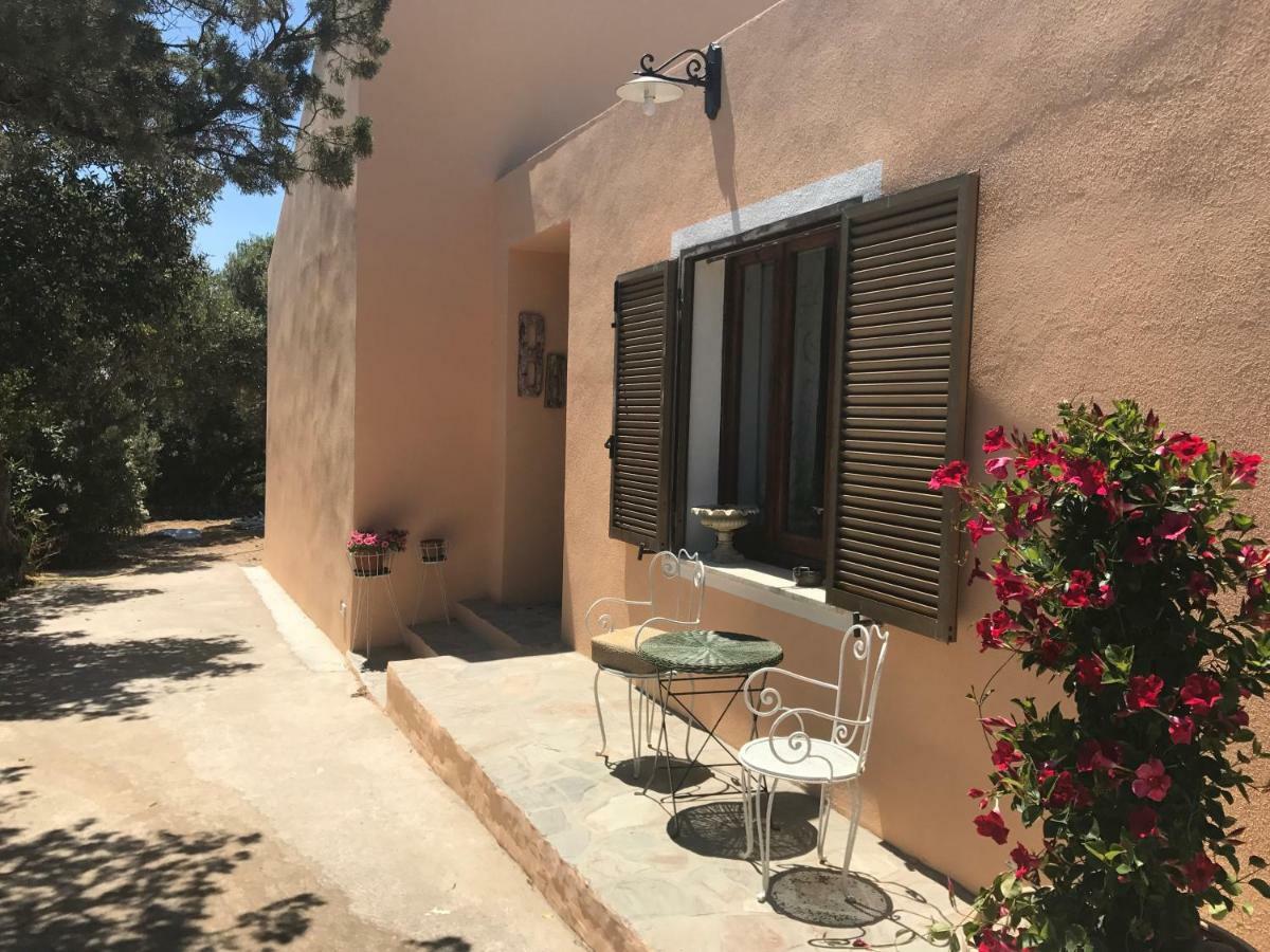 Bed and Breakfast Le 25 Tartarughe Santa Teresa Gallura Zewnętrze zdjęcie